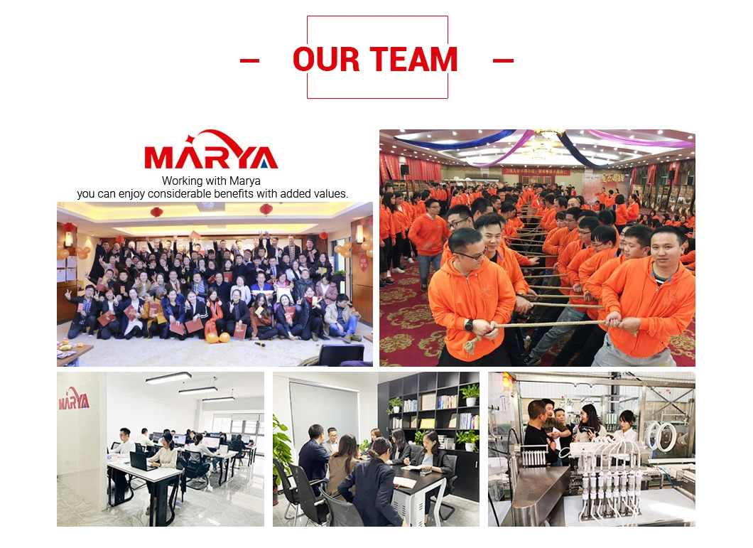 Marya Aseptic Prefilled Syringe Cartridge Glass/Polypropylene Syringe Filling Manufacturing Machine