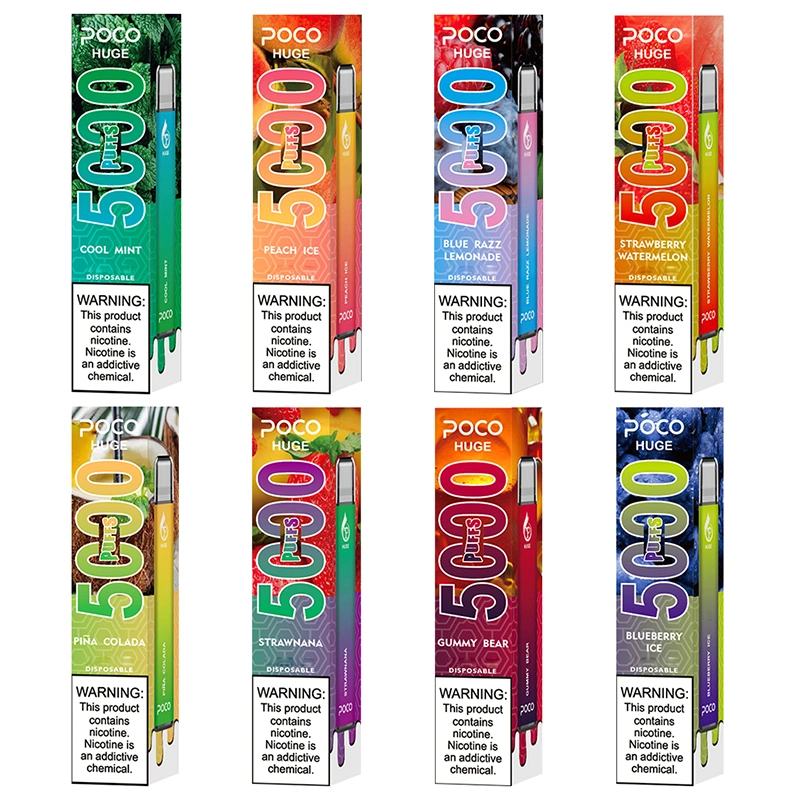 5000 Puffs Bar Vape Disposable Mesh Coil Rechargeable Electronic Cigarette with 15ml Capacity