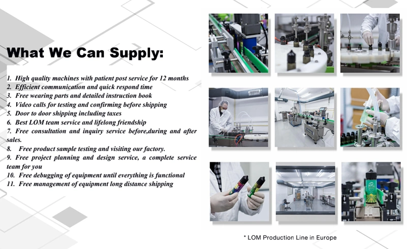 Fully Automatic 10ml-120ml E-Liquid or Eliquid or E-Juice or Ejuice or Vaping Juice or Vape Juice Filling Line Chubby Gorilla Filling Capping Labeling Machine