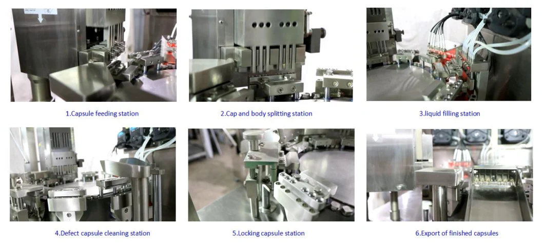 Liquid Capsule Filling and Sealing Machine Nutrient Oil Capsule Packaging Machine Njp-260