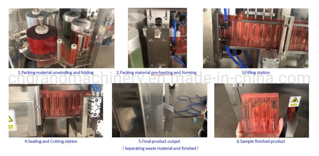 Small Dose Electronic Cigarette Oil Filling and Packaging Machine Ggs-118 (P5)