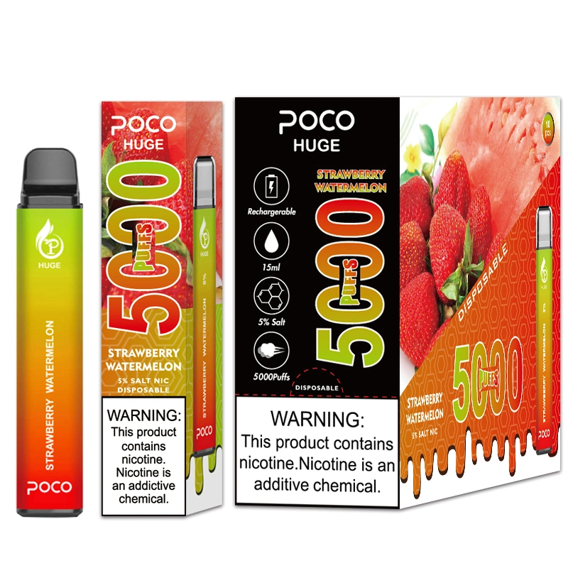 Wholesale Big 5000 Puffs E-Cig 15ml Fruit Flavors Disposable Smoking Vapes with Mesh Coil