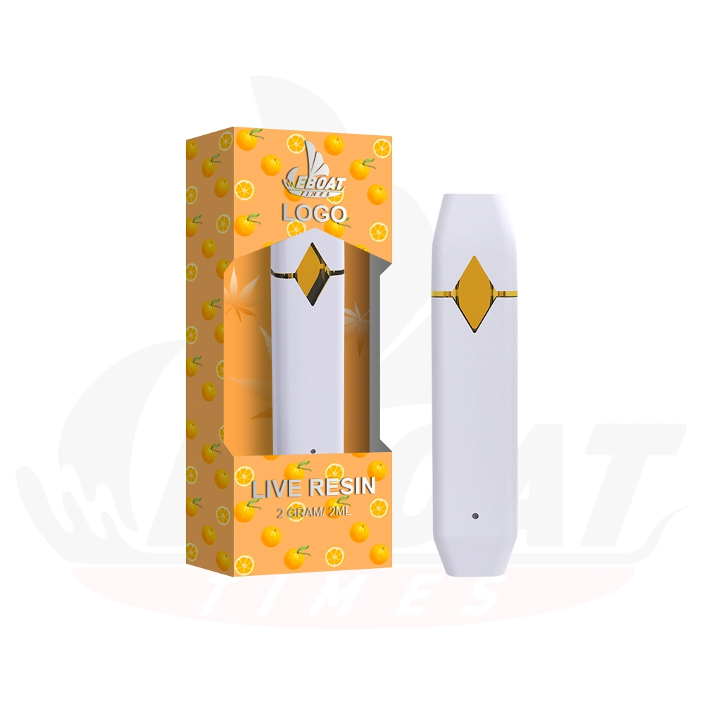 2024 Newest Wholesale Distillate Vape Pen Disposable Empty Custom Packaging Vape Disposable Thick Oil