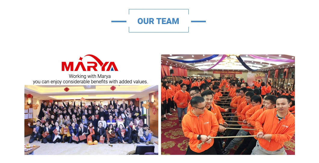 Marya Dual Chamber Pfs Filling and Stoppering Pre-Filling Disposable Syringe Cartridge Filling Machine Supplier