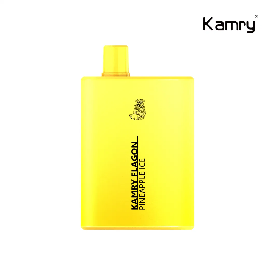 Wholesale Vapor Cigarette Disposable Vape