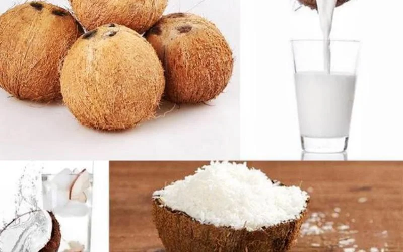 Cheap Coconut Water Extractor Machine Coconut Oil Making Machine