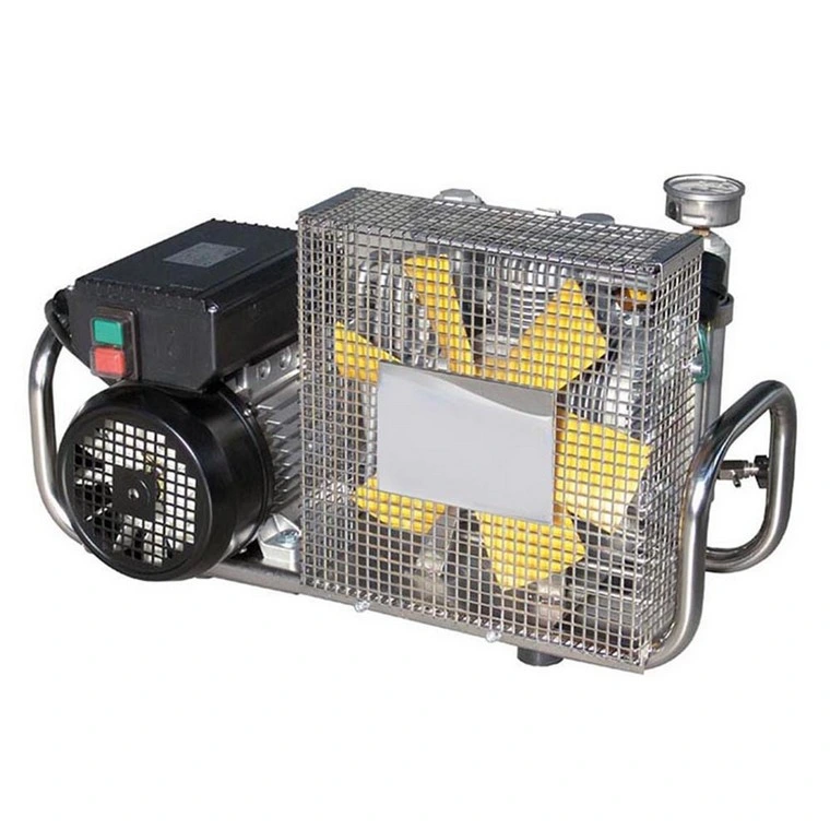 Popular Portable Industry CNG High Pressure Piston Scuba Diving Energy-Saving Air Pump Home Mini Natural Gas Compressor Machine