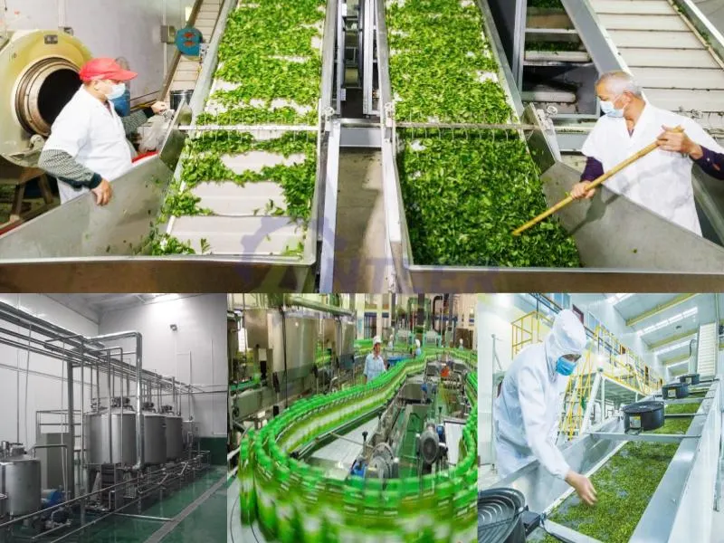 Hibiscus Dynamic Extractor Green Tea Drinking Filling Production Line