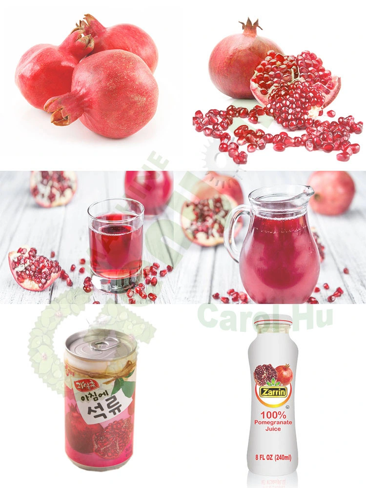 Genyond Concentrated Pomegranate Juice Making Machine with 200L Aseptic Large Bag Filling