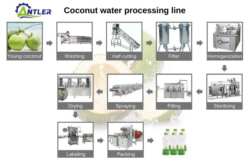 Cheap Coconut Water Extractor Machine Coconut Oil Making Machine