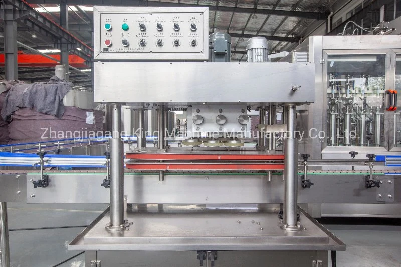 Disposable Hand Sanitizer Tube Filling Machine