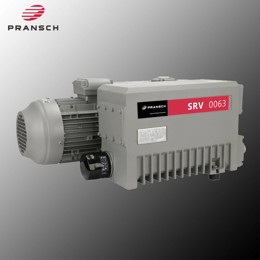 Printing and Paper Industry Oil-Lubricated Rotary Vane Vacuum Pump