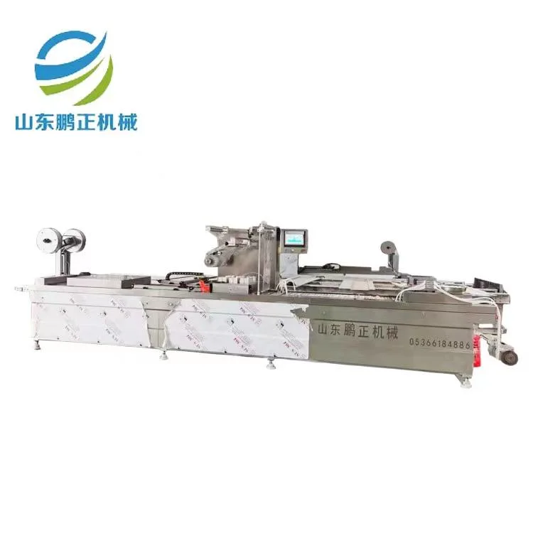 Professional Vacuum Sealer Packing Filling Sealing Machine Made in China