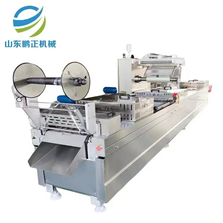 Professional Vacuum Sealer Packing Filling Sealing Machine Made in China