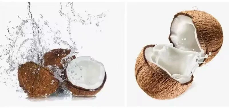 Cheap Coconut Water Extractor Machine Coconut Oil Making Machine