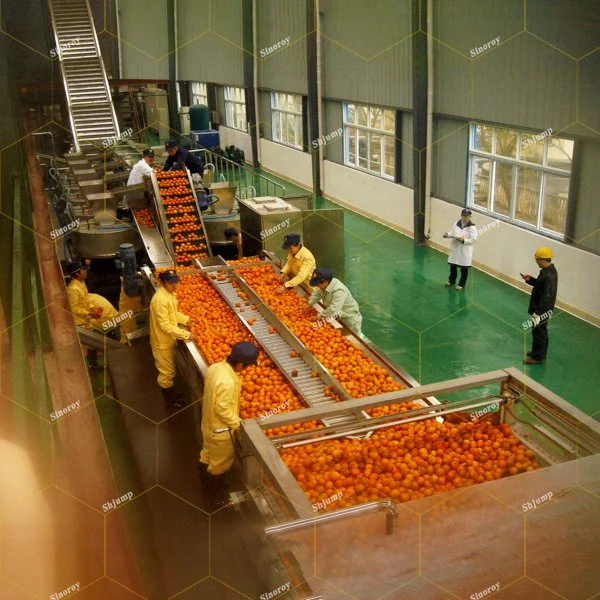 Orange Lemon Apple Mango Juice Puree Processing Production Machinery Line