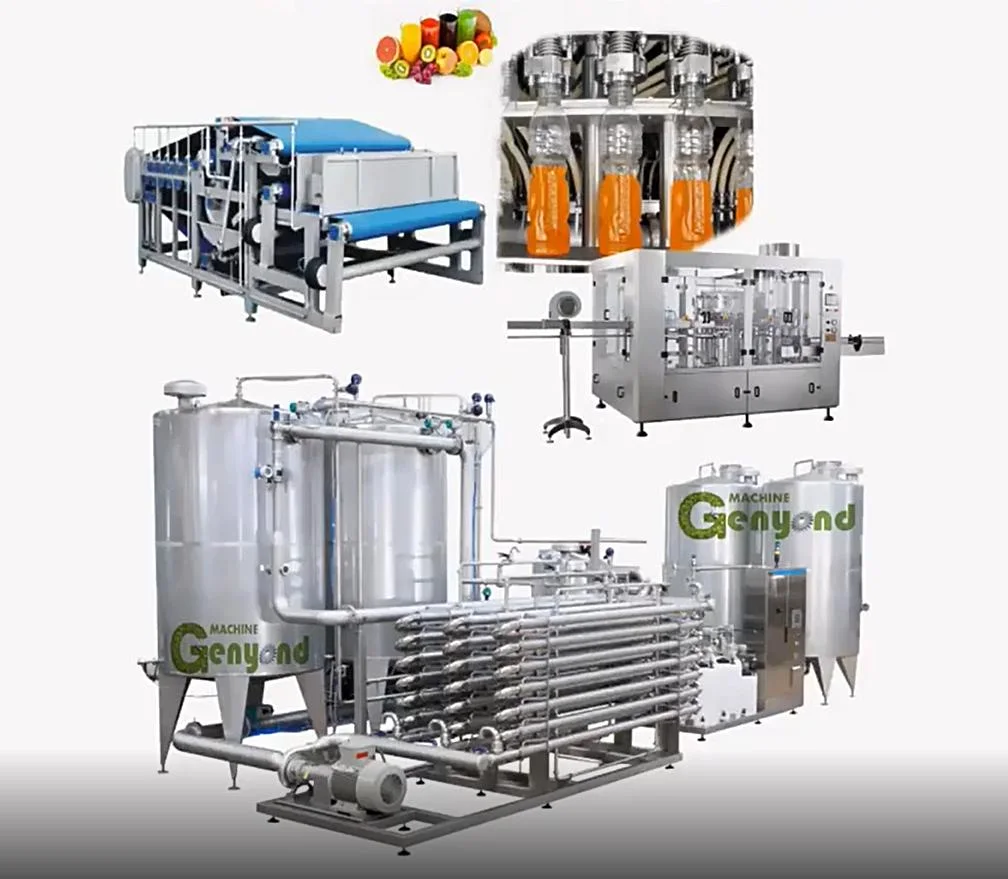 Genyond Concentrated Pomegranate Juice Making Machine with 200L Aseptic Large Bag Filling