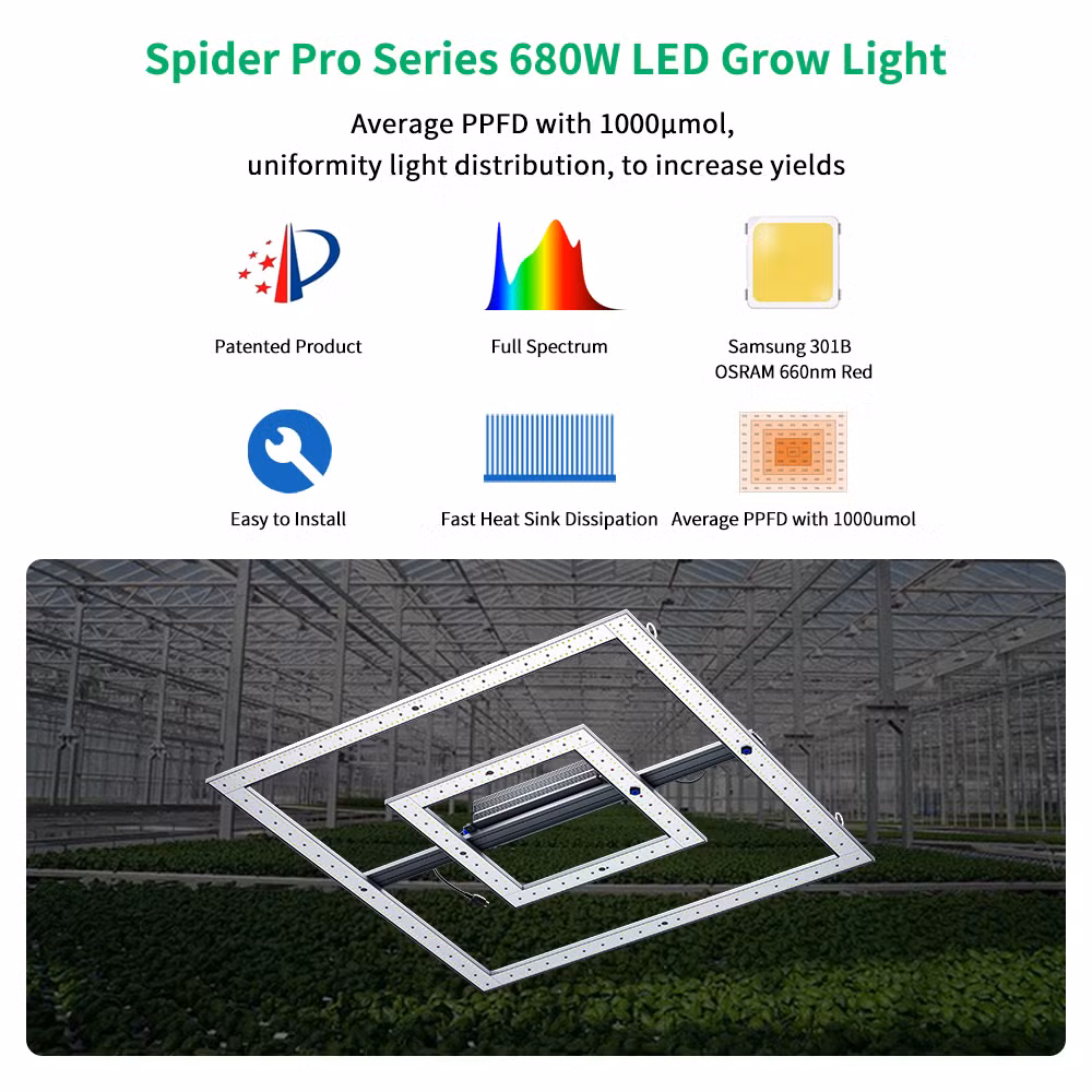 2022 New Arrival Samsung Lm301b Lm301h Full Spectrum LED Grow Plant Light with UV IR for Indoor Growing