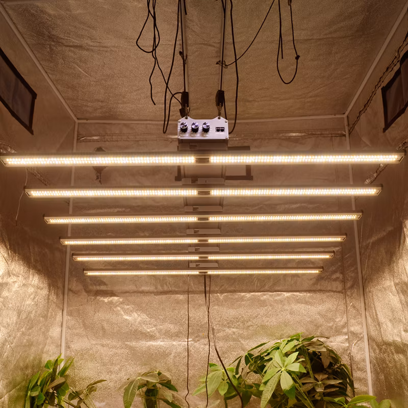 Tp High Efficiency LED Octopus Supplement Light for Indoor Greenhouse Plant Growing UV IR 650W &amp; 800W Waterproof