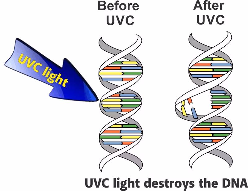 UV-C Germicidal Lamp for HVAC Coils Disinfection