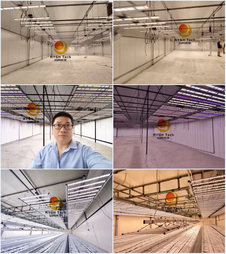 Full Spectrum Lm281b 0-10V Dimmable 1250W Detachable LED Grow Light