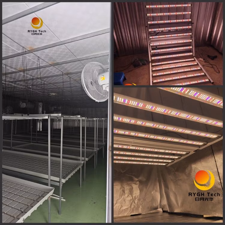 Full Spectrum Lm281b 0-10V Dimmable 1250W Detachable LED Grow Light