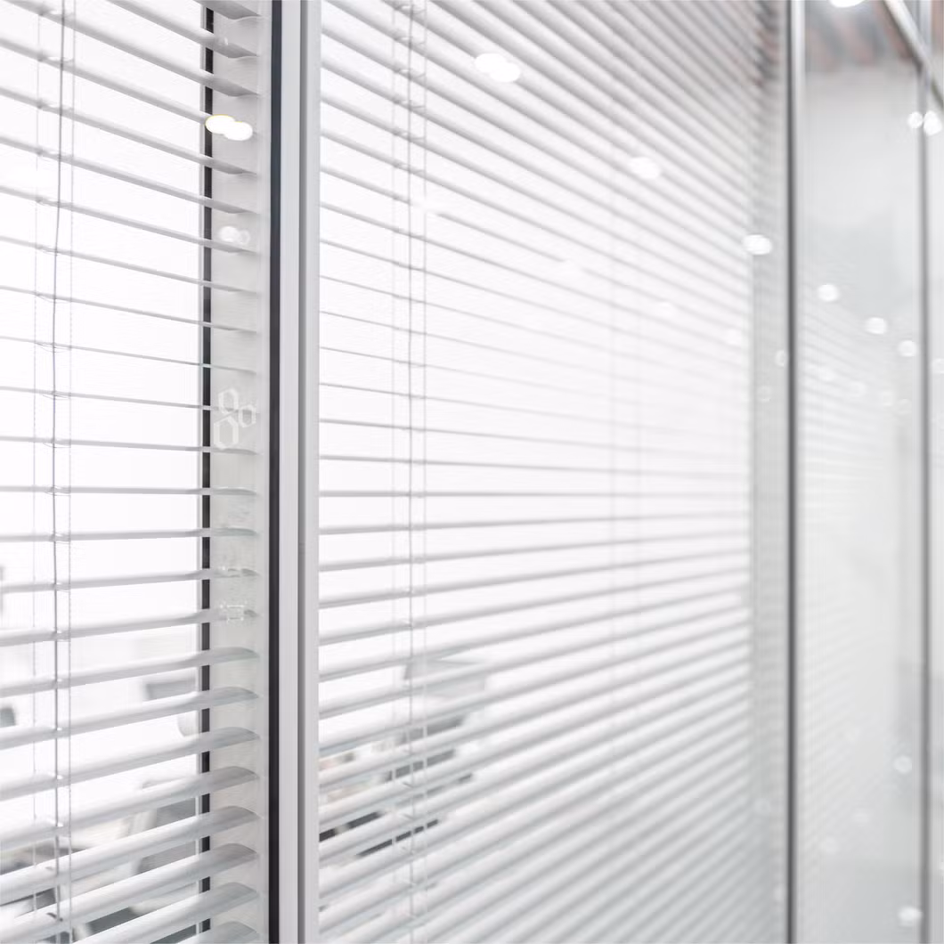 Simple Style Office Partition Privacy Protection Louver Glass Wall