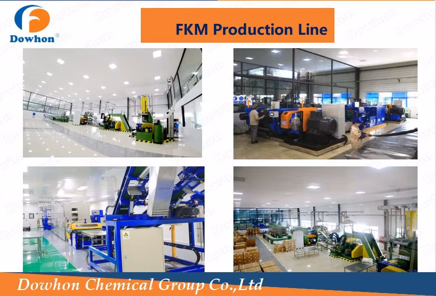 3m Solvay Daikin Peroxide Grade FKM Terpolymer Fluoroelastomer Rubber Precompound Compound