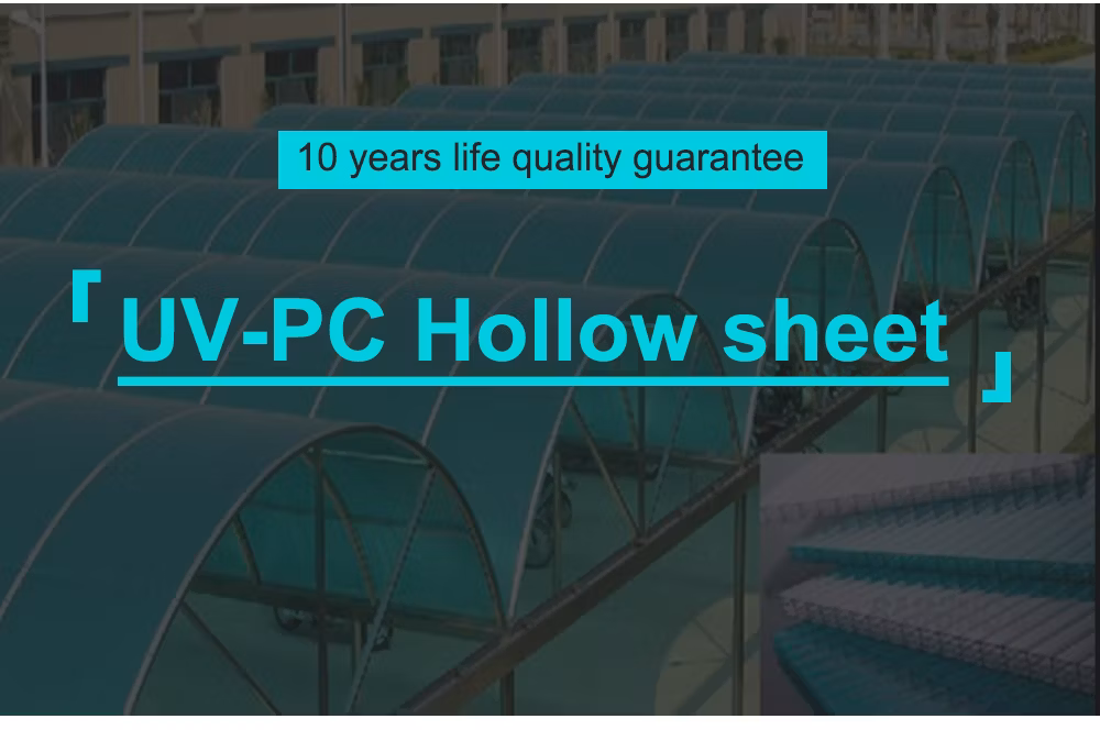 UV Coated Best Choice 6mm Multiwall Polycarbonate Roofing PC Hollow Sheet