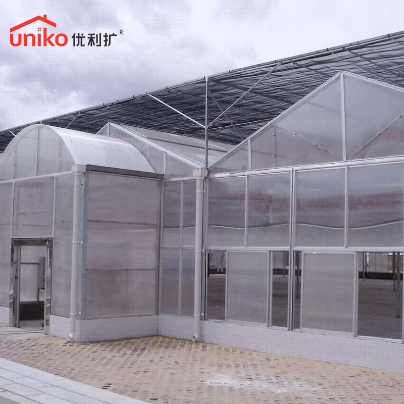 Uniko Factory Price 4mm 8mm 16mm Building Material PC Panel Color Hollow Sheet Polycarbonate Corrugated Sheets Greenhouse Roof Solid Sun Board Plastic Sheets