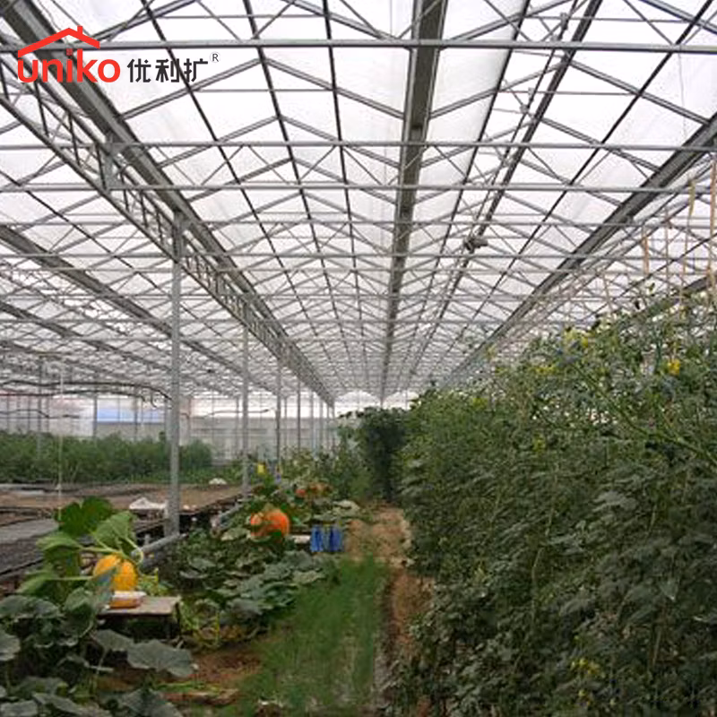 Uniko High Quality Wholesale 2-20mm PC Roofing Transparent Polycarbonate Hollow/Sun Sheet for Lightbox