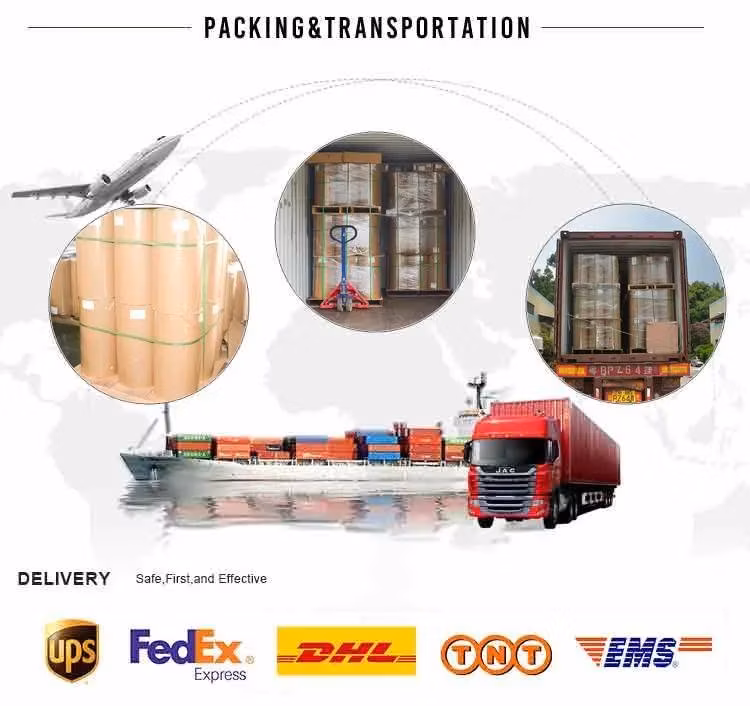 Manufacturers 8mm Polycarbonate PC Hollow Triple-Wall Sheet/Plate