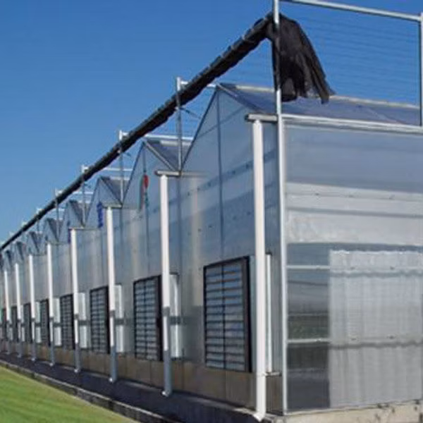 Ambar Multi-Wall Polycarbonate Sheet for Roofing&Decoration