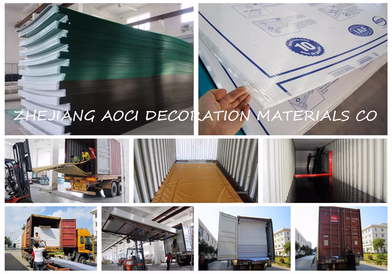 Gris Reflectivo Multi-Wall Polycarbonate Sheet for Roofing&Decoration