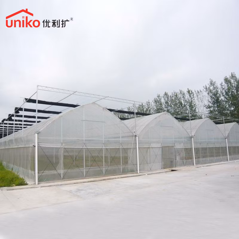 Uniko High Quality Wholesale 2-20mm PC Roofing Transparent Polycarbonate Hollow/Sun Sheet for Lightbox