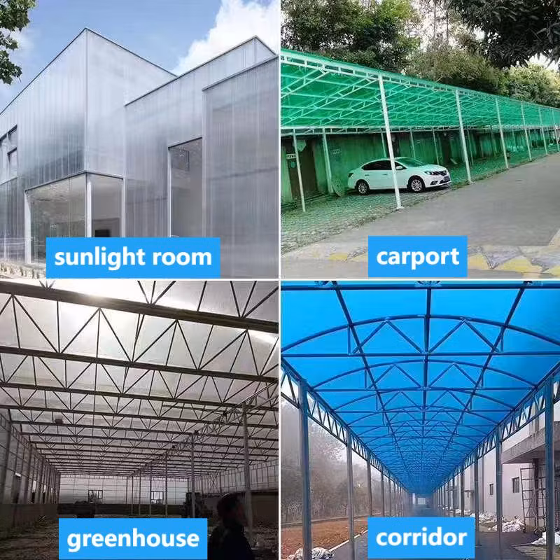 Manufacturers Plastic Greenhouse 6mm 8mm Polycarbonate PC Hollow Twin Wall Triple-Wall Sheet