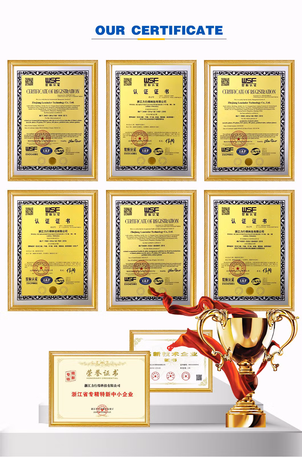 Leasinder Top Quality Flexible Multi Colored Custom Size Clear Acrylic Extensible PETG Mirror PC Sheet Polycarbonate