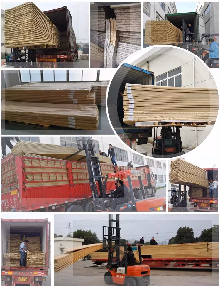 Agricultural Commercial PC Polycarbonate Plate Hollow Sheet Board