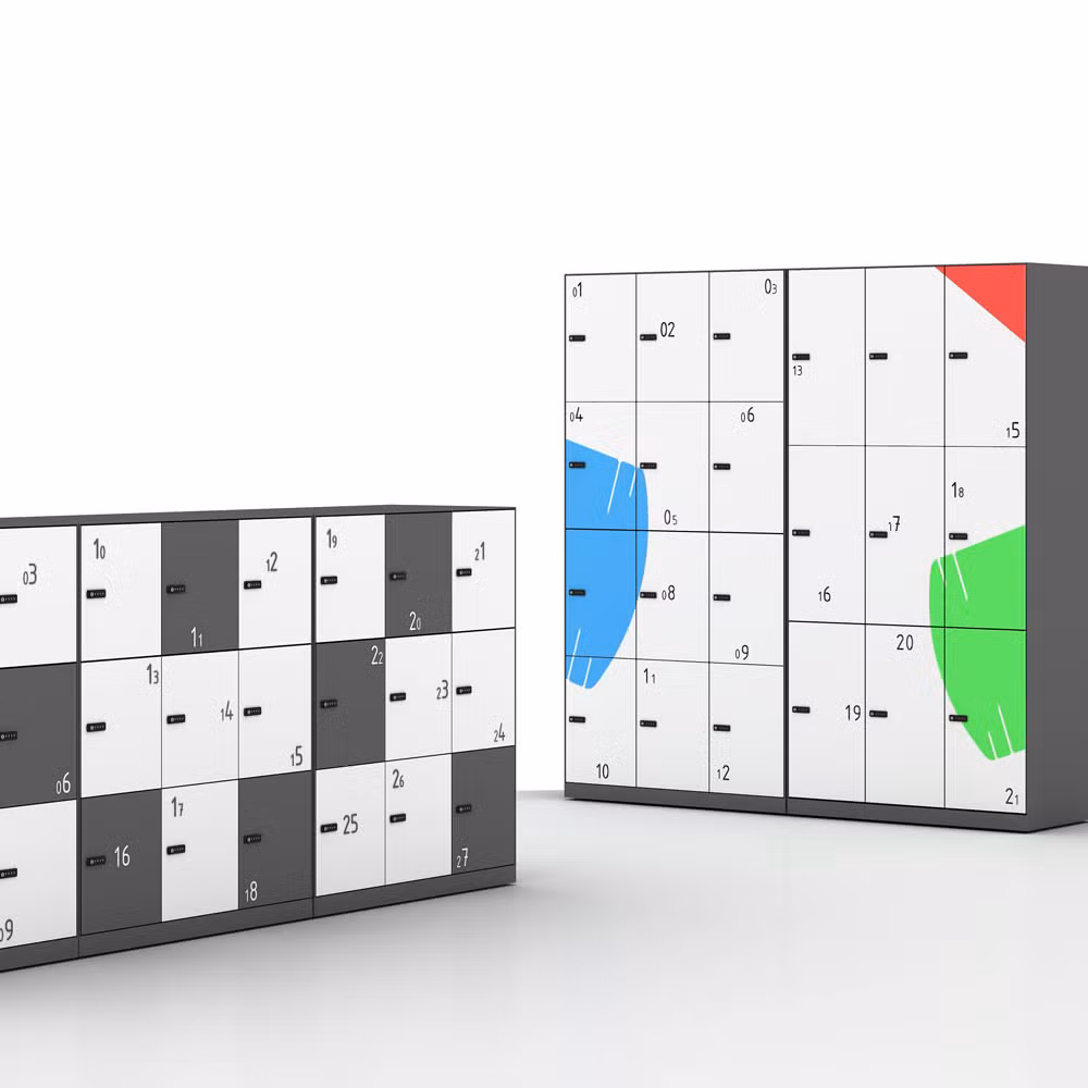 Commercial Furniture Customized Icab/Webber Export Carton Packing W900*D400*H1325mm Locker Cabinet