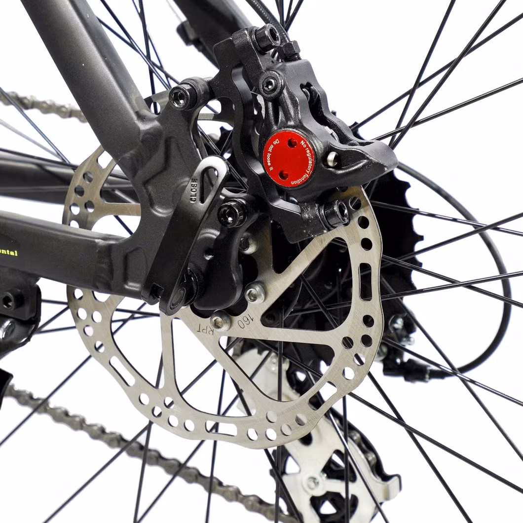 Best China Supplier Wholesale 21 Speed 29er Carbon/Steel Suspension MTB Shimano Bicicleta Women Mountain Bikes for Sale