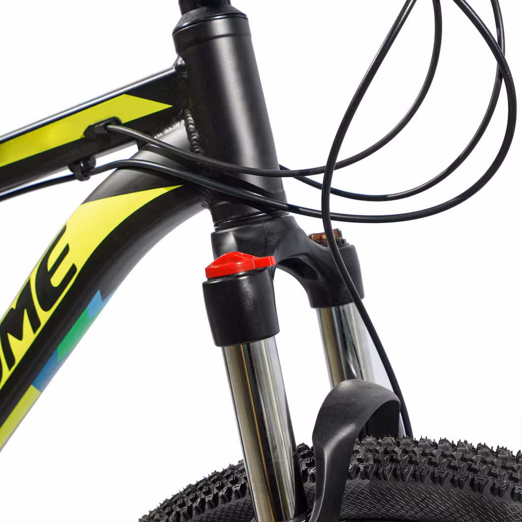 Best China Supplier Wholesale 21 Speed 29er Carbon/Steel Suspension MTB Shimano Bicicleta Women Mountain Bikes for Sale