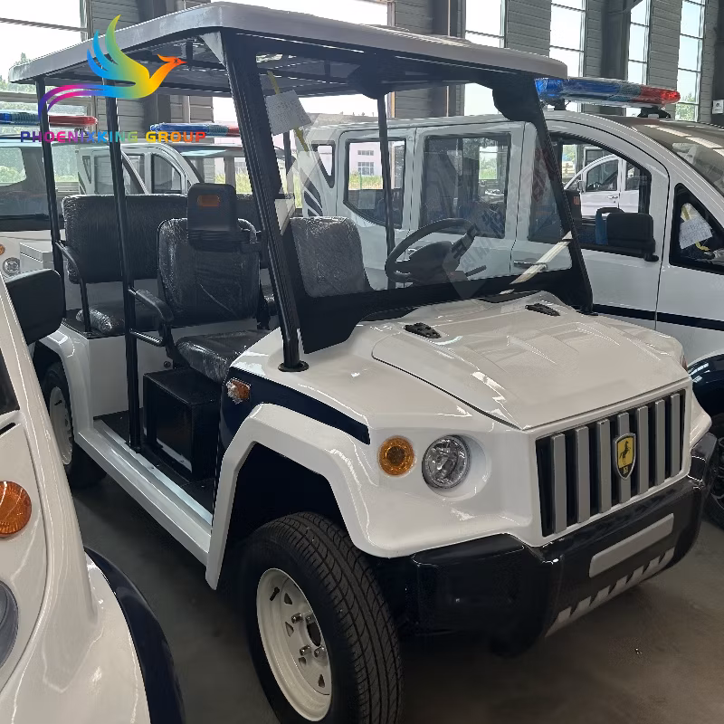 Stylish New Design 5-Passenger Electric Golf Cart for Eco-Conscious Buyers