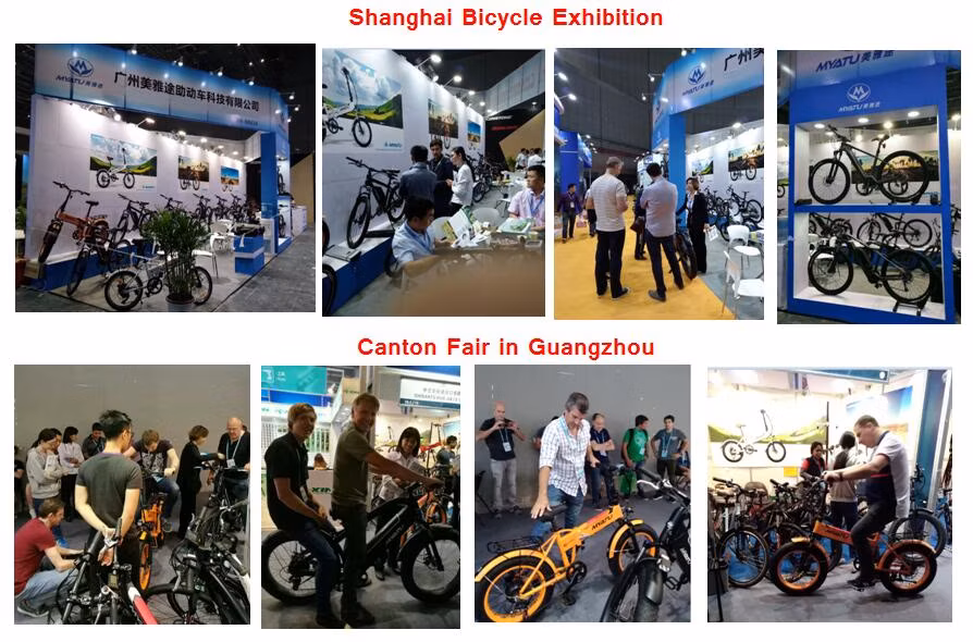 Electric Hunting Mountain Bike with M620 MID Drive Motor