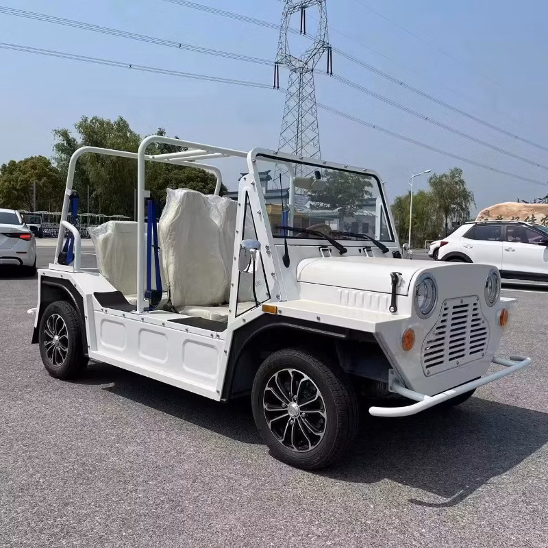 Small Beach Mini Moke Car Golf Go Cart with Gasoline Power