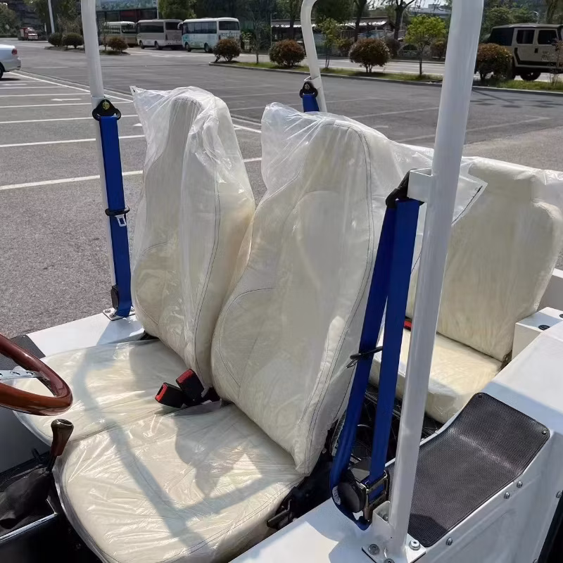 Small Beach Mini Moke Car Golf Go Cart with Gasoline Power