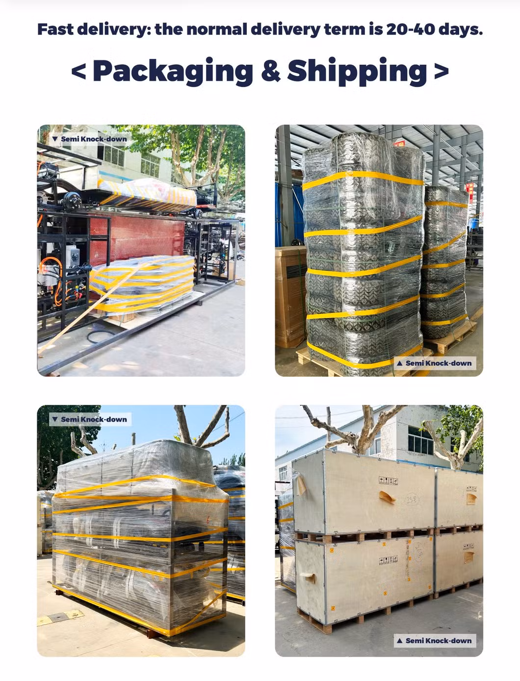 Lsv Kinghike Vehicle Manufacture Electric Buggies Golf Carts with ISO CE Certifications