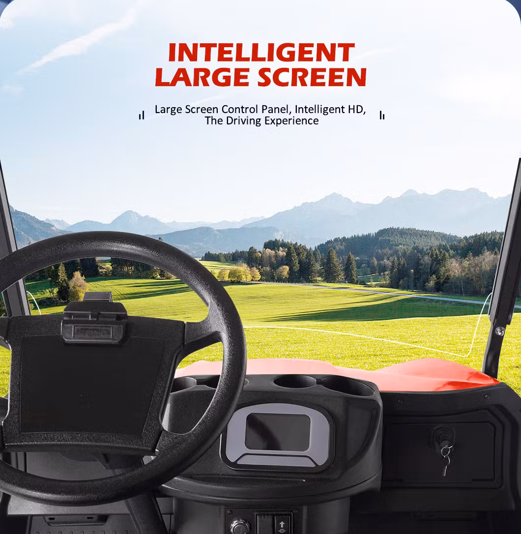 2 Seat Sightseeing Bus Club Cart Electric Golf Buggy Cart