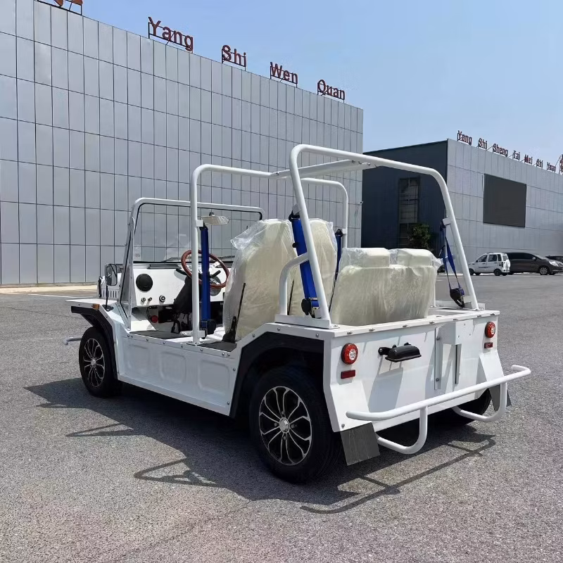 Small Beach Mini Moke Car Golf Go Cart with Gasoline Power
