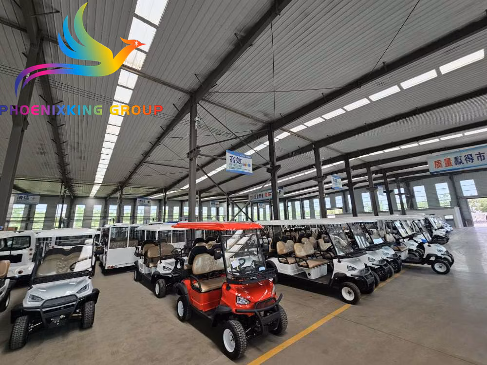 Stylish New Design 5-Passenger Electric Golf Cart for Eco-Conscious Buyers
