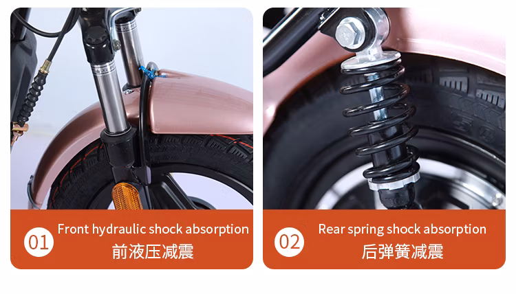 16 Inch Wheel Popular City Electric Bike Adult Vehicle E-Bicycle Used Electric Scooter